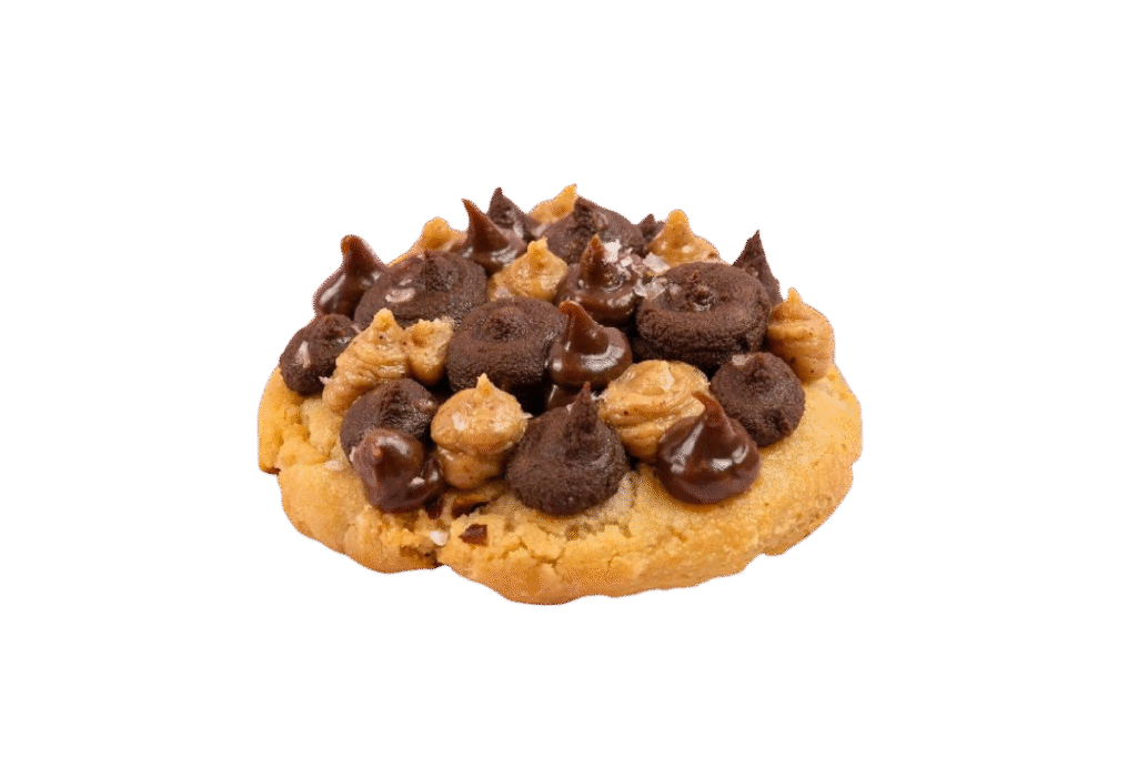 Inicio 6 Diseno sin titulo 15